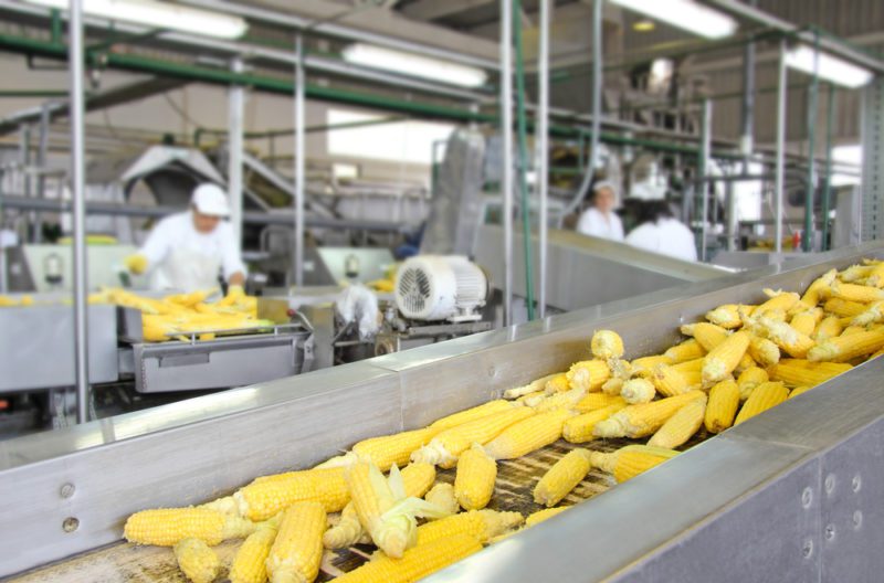 Best food processing equipment for Startups