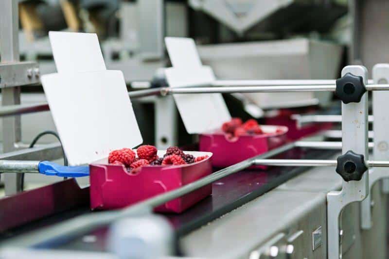 profits in food manufacturing