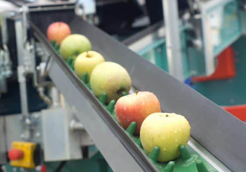 automation in food industry